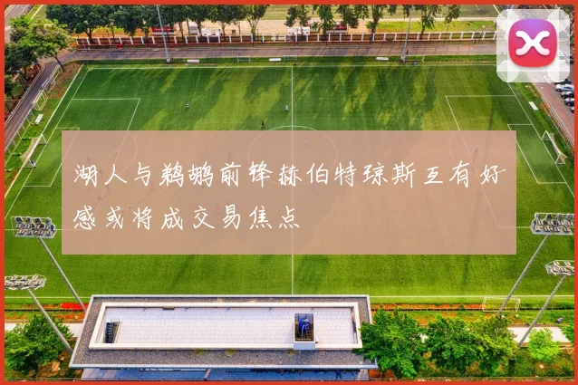 湖人与鹈鹕前锋赫伯特琼斯互有好感或将成交易焦点