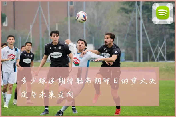 多少球迷期待勒布朗昨日的重大决定与未来走向