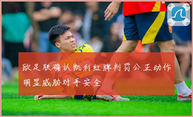 欧足联确认凯利红牌判罚公正动作明显威胁对手安全