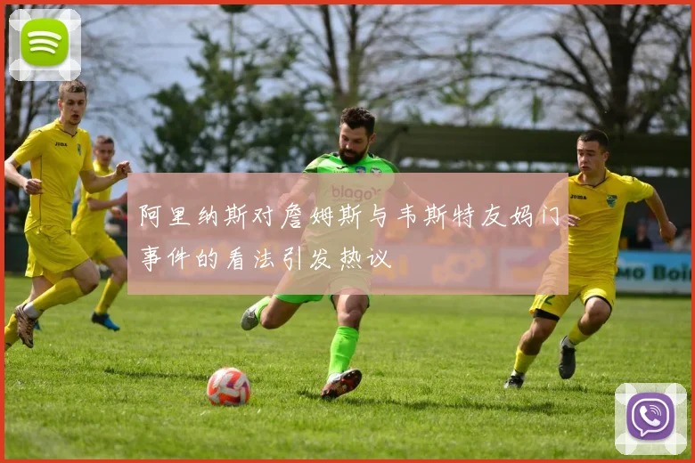 阿里纳斯对詹姆斯与韦斯特友妈门事件的看法引发热议