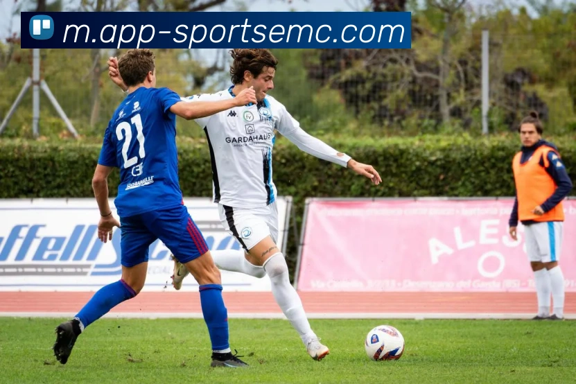 易倍体育发展历程